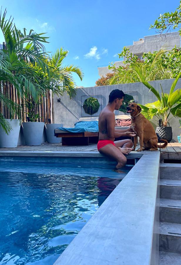 Lote4 - Lgbtq Studios Playa del Carmen Eksteriør bilde