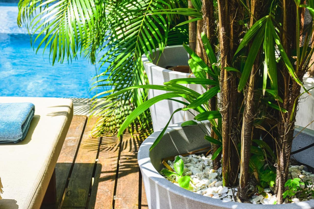 Lote4 - Lgbtq Studios Playa del Carmen Eksteriør bilde